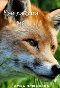 Обложка книги "Мой хитрый лис!"
