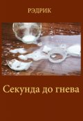 Обложка книги "Секунда до гнева"