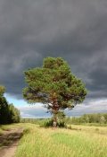 Обложка книги "Одинокая Сосна"
