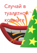 Обложка книги "Случай в туалетной комнате"