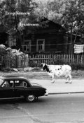 Обложка книги "Духменев"