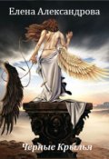 Обложка книги "Черные крылья"
