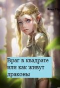 Обложка книги "Враг в квадрате или как живут драконы."