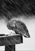 Обложка книги "Рукавица"