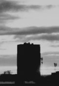 Обложка книги "Голубь и Бытие "