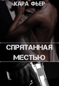 Обложка книги "Спрятанная местью"