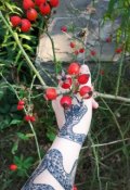 Обложка книги "Красивый сад не без змей"