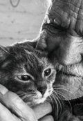 Обложка книги "Старик и кот"