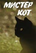 Обложка книги "Мистер Кот"