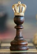 Обложка книги "Рокировка"