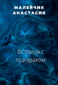 Обложка книги "Встреча с призраком."