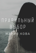 Обложка книги "Правильный выбор"