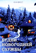 Обложка книги "Будни Новогодней службы"