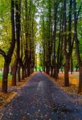 Обложка книги "Упущенное время"