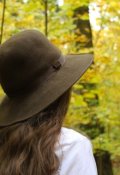 Обложка книги "Новогодний коллапс"
