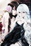 Обложка книги "Жизнь и Смерть"