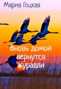 Обложка книги "3. Вновь домой вернутся журавли"