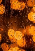 Обложка книги "Фонари"