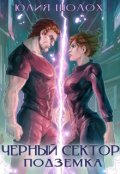 Обложка книги "Чёрный сектор. Подземка"