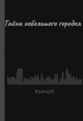 Обложка книги "Тайна небольшого городка"