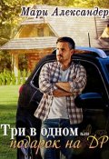 Обложка книги "Три в одном, или Подарок на День рождения"