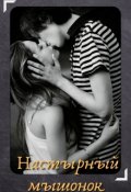 Обложка книги "Настырный  мышонок."