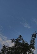 Обложка книги "О себе..."