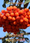 Обложка книги "Рябина красная"