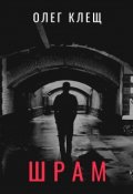 Обложка книги "Шрам"