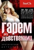 Обложка книги "Гарем из девственниц"