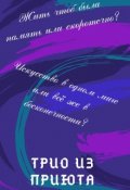 Обложка книги "Трио из приюта "
