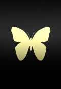 Обложка книги "Тусклый свет для мотылька"