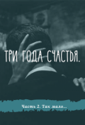 Обложка книги "Три года счастья.Так мало."