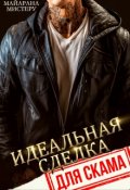 Обложка книги "Идеальная сделка для скама"