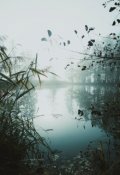 Обложка книги "Озеро"