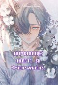 Обложка книги "Принц? Нет, я фермер. "
