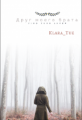 Обложка книги "Друг моего брата. Ещё поквитаемся. "