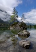 Обложка книги "Деревце"