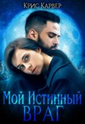 Обложка книги "Мой истинный враг"