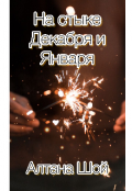 Обложка книги "На стыке Декабря и Января"