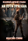 Обложка книги "Ведомый дорогой судьбы 2. На пути Урагана"