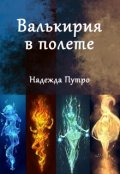 Обложка книги "Валькирия в полете"