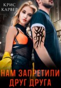 Обложка книги "Нам запретили друг друга"