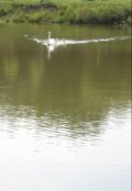 Обложка книги "В трёх шагах от беды"