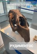Обложка книги "Рудиментос"