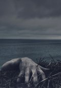 Обложка книги "Знаки"