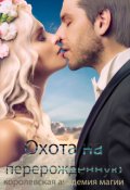 Обложка книги "Королевская Академия Магии. Охота на Перерожденную"