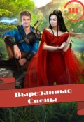 Обложка книги "Принцесса Бонус Вырезанные сцены "