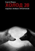 Обложка книги "Холод. Сага. Часть 20. Ущелье живых призраков"