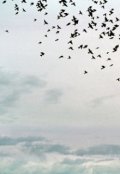Обложка книги "Почему я отказался от Нобелевской премии"